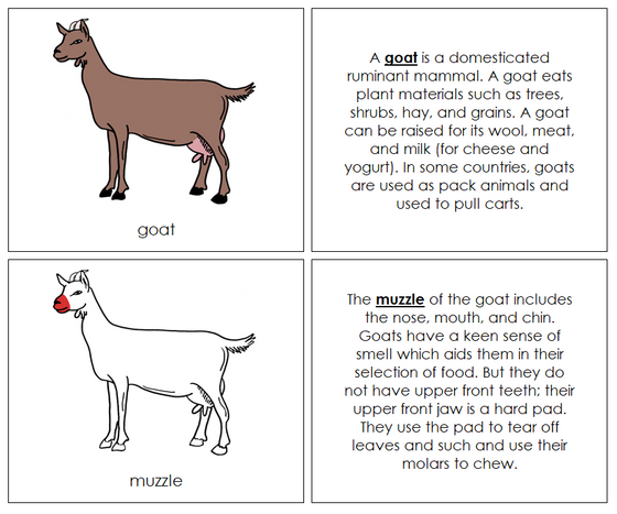 Goat Nomenclature Book (red) - Montessori Print Shop