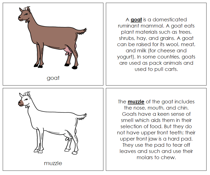 Parts of a Goat Nomenclature Book - Montessori Print Shop Digital Download