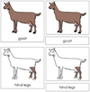 Goat Nomenclature 3-Part Cards - Montessori Print Shop