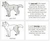 Gray Wolf Nomenclature Book - Montessori Print Shop