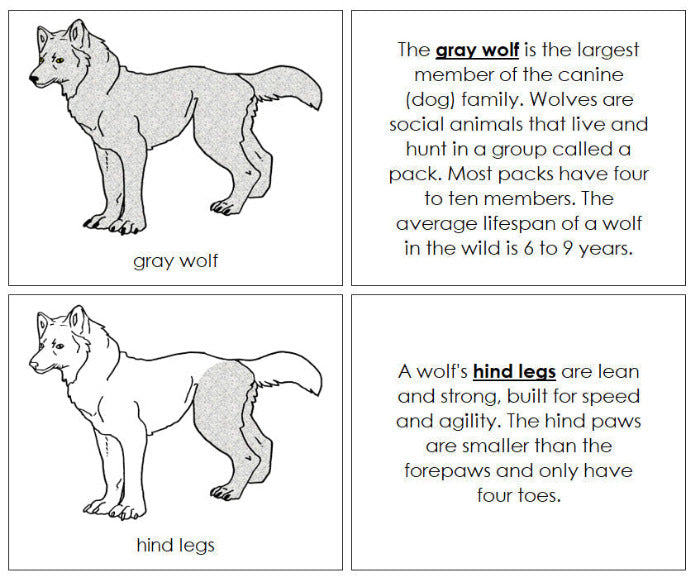 Parts of a Gray Wolf Nomenclature Book - Montessori Print Shop Digital Download