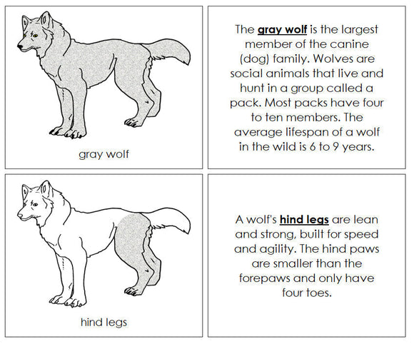 Gray Wolf Nomenclature Book - Montessori Print Shop