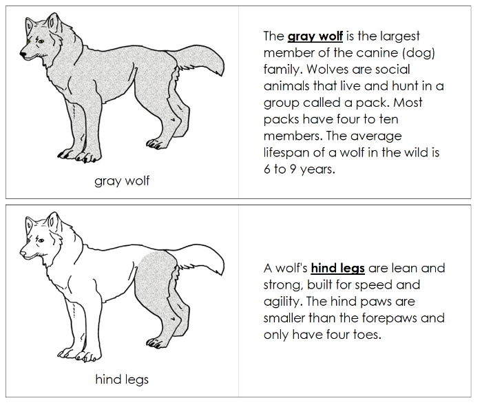 Parts of a Gray Wolf Nomenclature Book - Montessori Print Shop Digital Download