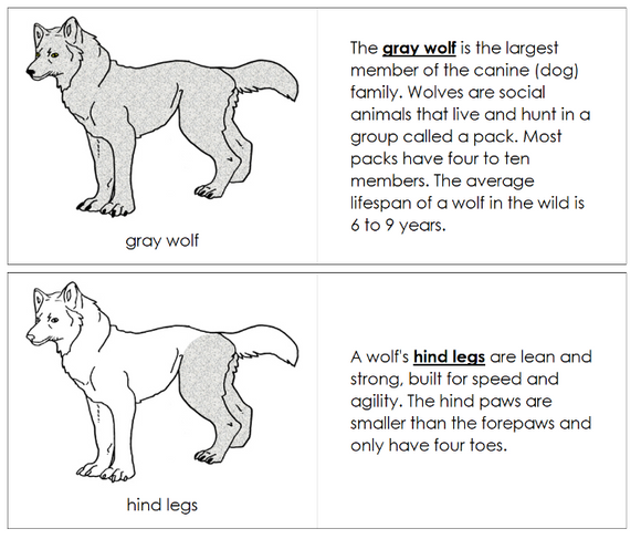 Parts of a Gray Wolf Nomenclature Book - Montessori Print Shop Digital Download