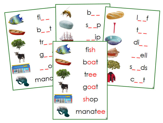 Montessori Green Phonogram Sound Cards - Set 1 (photos) - Montessori Print Shop phonogram language program