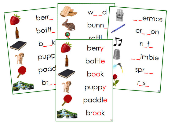 Montessori Green Phonogram Sound Cards - Set 2 (photos) - Montessori Print Shop Digital Download phonogram language program