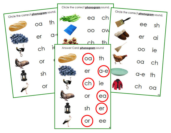 Montessori Green Phonogram Sound Choice Cards - Set 1 (photos) - Montessori Print Shop phonogram language program