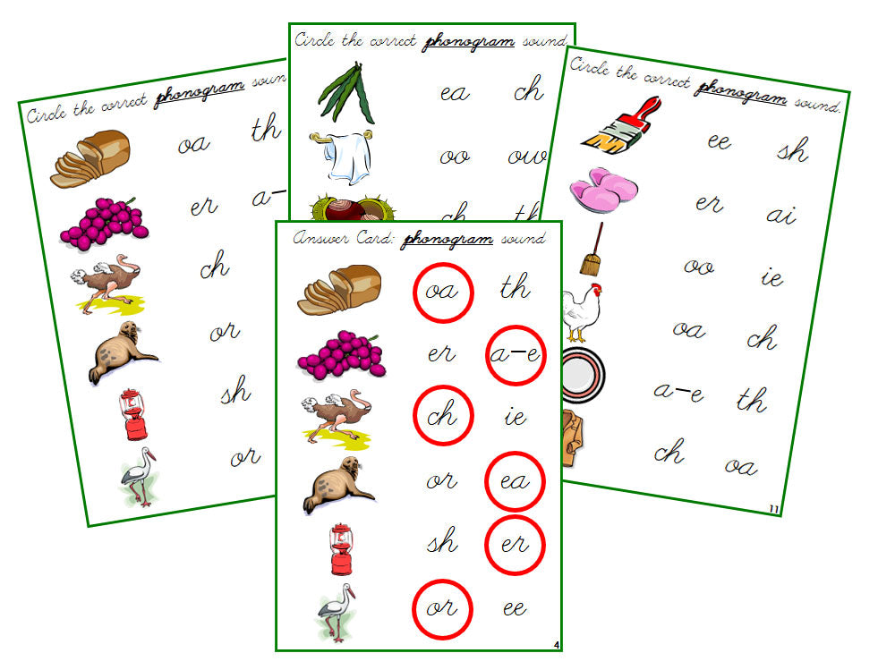 Montessori Green Language Series Bundle - CURSIVE - Phonogram Sound Choice Cards - Montessori Print Shop Digital Download Phonics Language Program