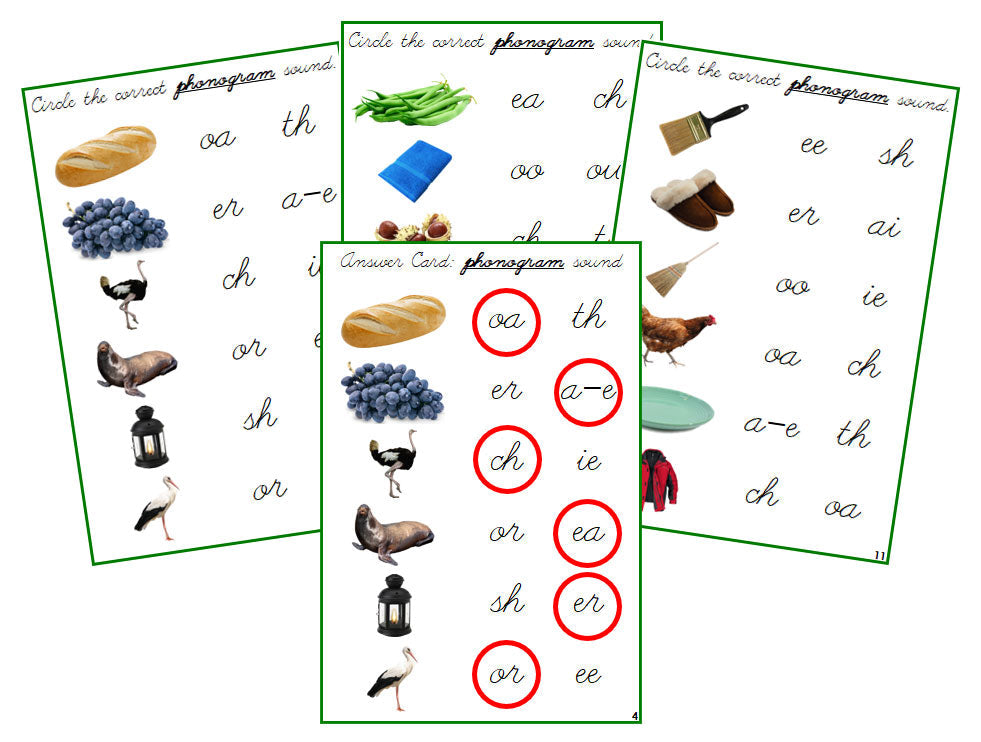 Montessori Green Phonogram Sound Choice Cards - Set 1 (photos) - CURSIVE - Montessori Print Shop Digital Download phonogram lesson
