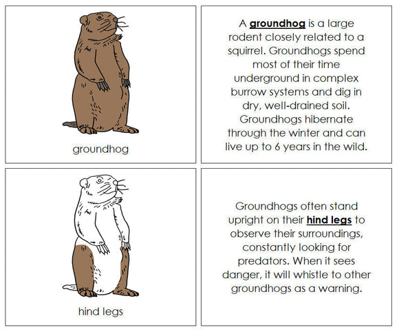 Groundhog Nomenclature Book - Montessori Print Shop