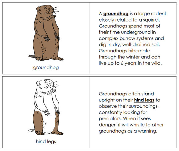 Parts of a Groundhog Nomenclature Book - Montessori Print Shop Digital Download