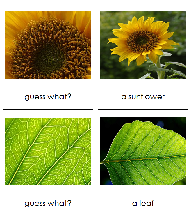Guess What? - preschool matching cards - Montessori Print Shop Digital Download