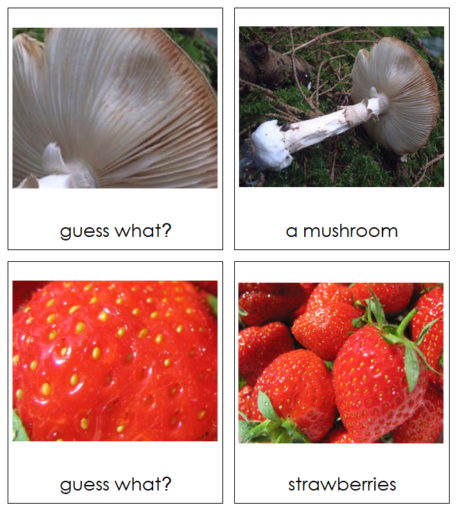 Guess What? Set 2 - preschool matching cards - Montessori Print Shop Digital Download