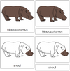 Hippopotamus Nomenclature 3-Part Cards - Montessori Print Shop