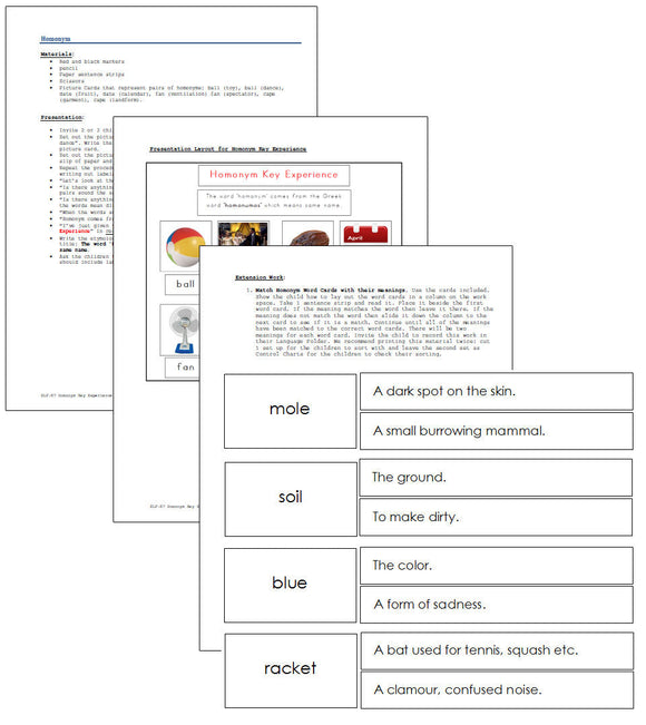 Homonyms Key Experience