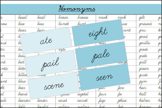 Homonyms (color, cursive) - Montessori Print Shop Grammar Lesson