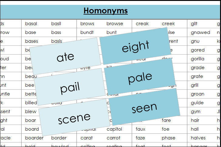 Homonym Cards (color) - Montessori Print Shop Digital Download grammar