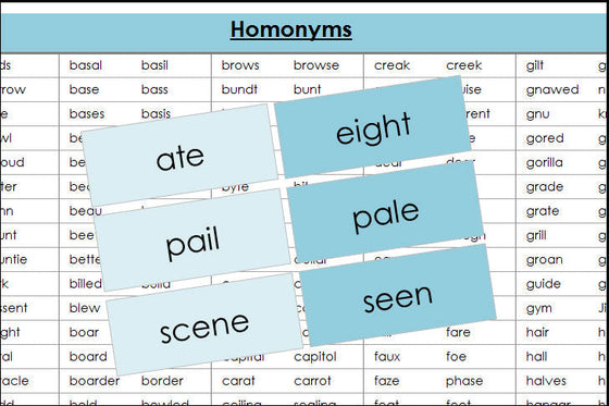 Homonym Cards (color) - Montessori Print Shop grammar