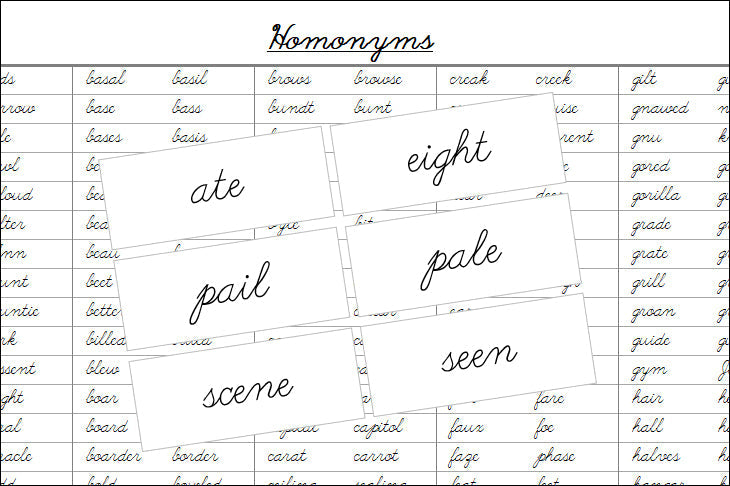 Homonyms Matching Cards - Montessori Print Shop Digital Download Grammar Lessons
