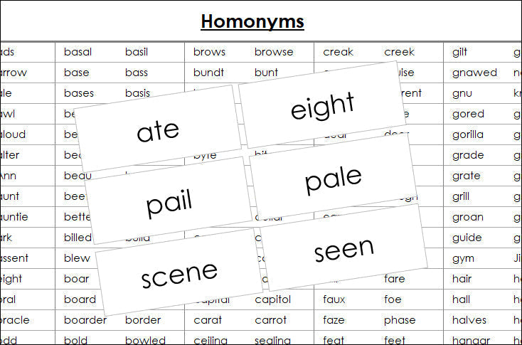 Homonym Cards - Montessori Print Shop Digital Download grammar