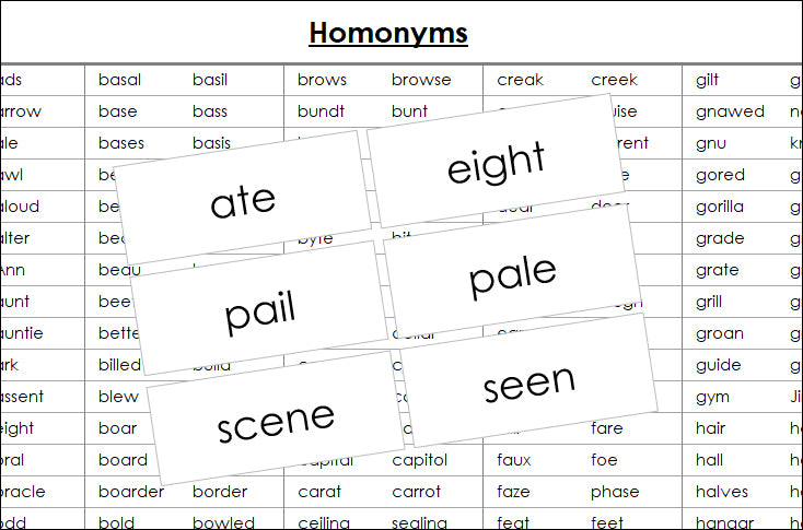 Homonym Cards - Montessori Print Shop Digital Download grammar