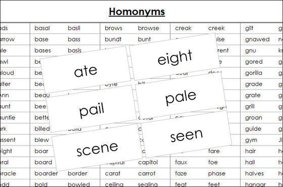 Homonym Cards - Montessori Print Shop grammar