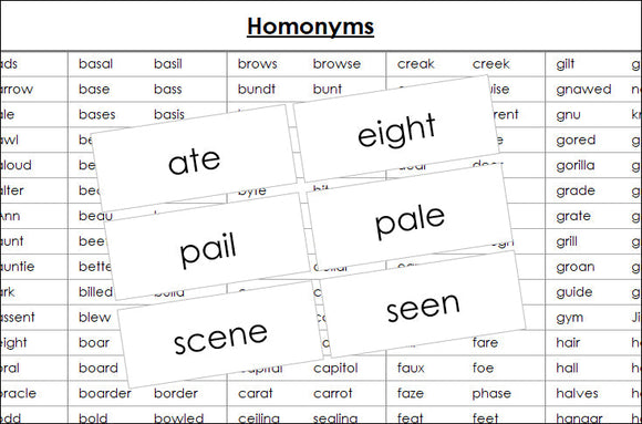 Homonym Cards - Montessori Print Shop grammar