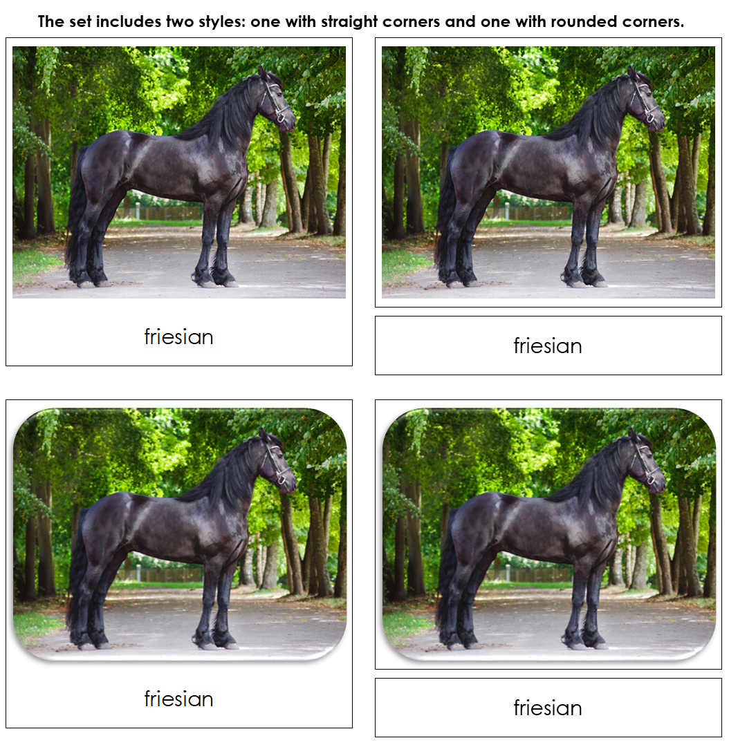 Horses - Safari Toob Cards - Montessori Print Shop Digital Download