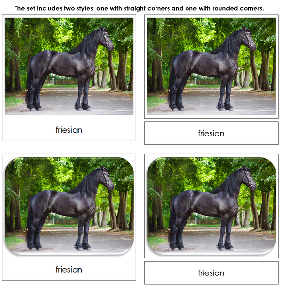 Horses Safari Toob Cards - Montessori Print Shop Digital Download