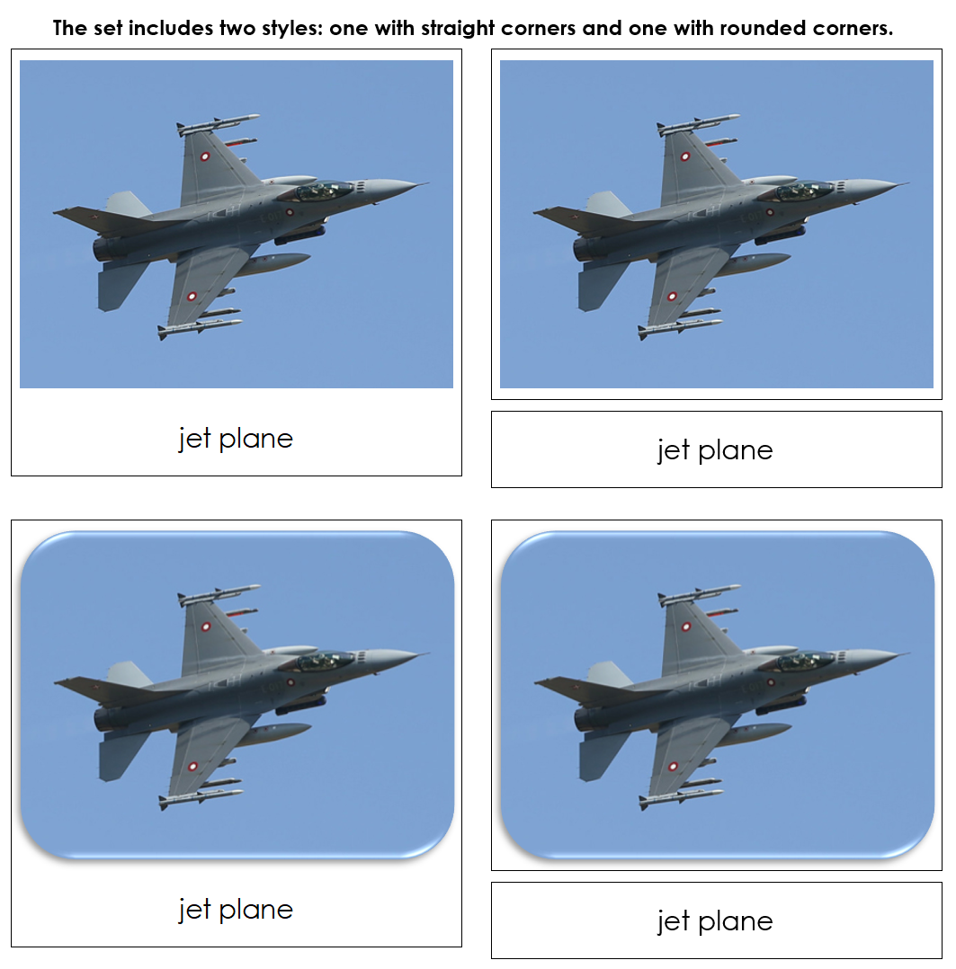 In The Sky - Safari Toob Cards - Montessori Print Shop Digital Download