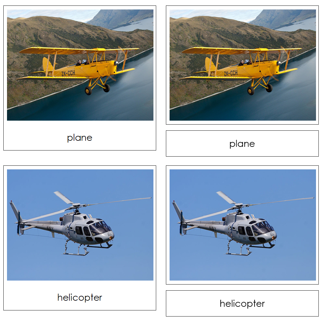 In The Sky - Safari Toob Cards - Montessori Print Shop Digital Download