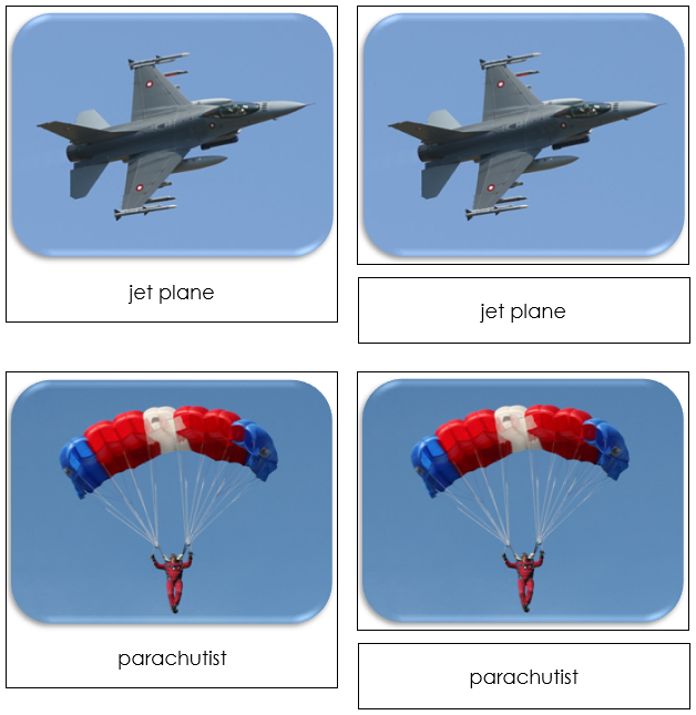 In The Sky - Safari Toob CardsIn The Sky Safari Toob Cards - Montessori Print Shop