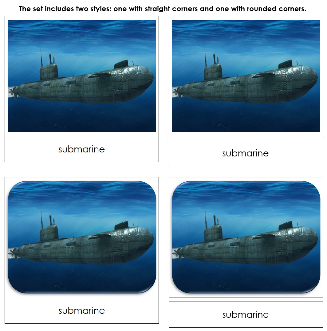 In The Water Safari Toob Cards - Montessori Print Shop Digital Download