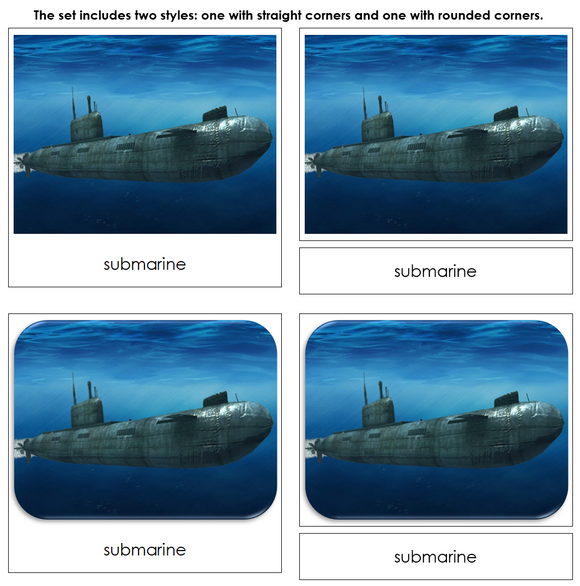 In The Water Safari Toob Cards - Montessori Print Shop Digital Download