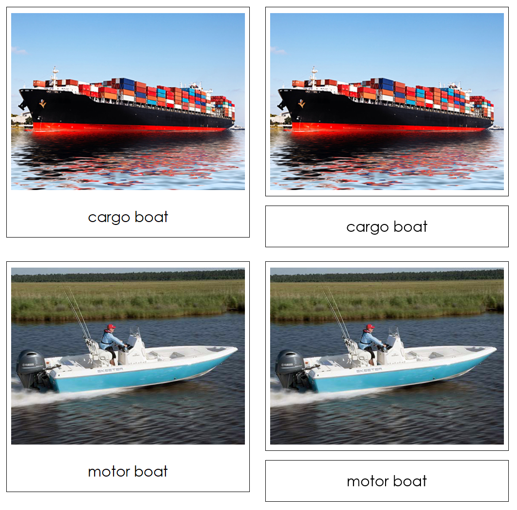 In The Water Safari Toob Cards - Montessori Print Shop Digital Download