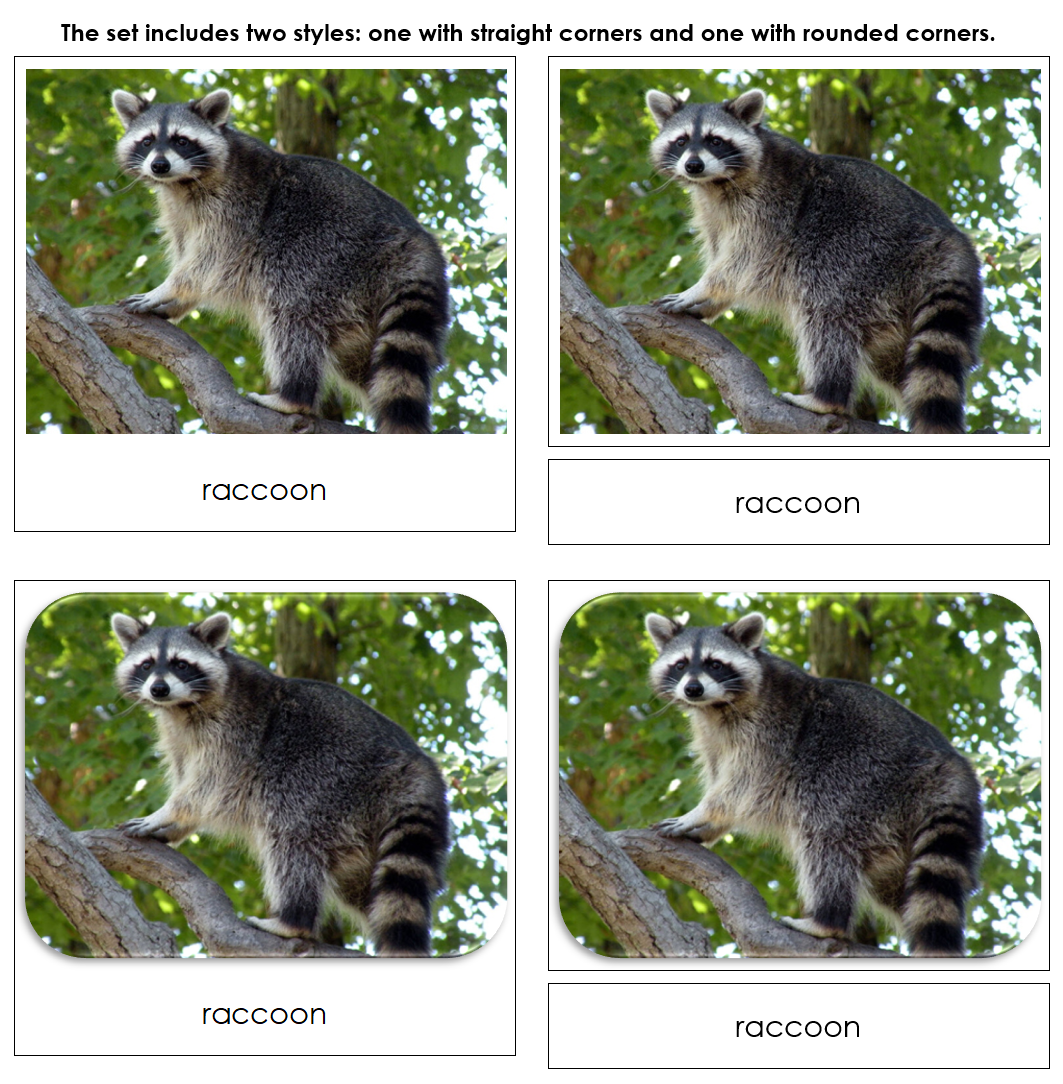 In The Woods Safari Toob Cards - Montessori Print Shop Digital Download