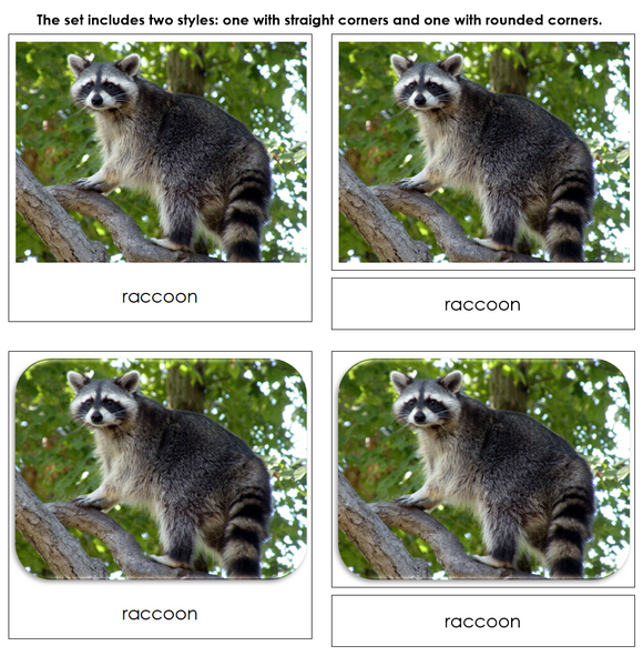 In The Woods Safari Toob Cards - Montessori Print Shop Digital Download