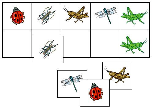 Insect Match-Up & Memory Game - Montessori Print Shop