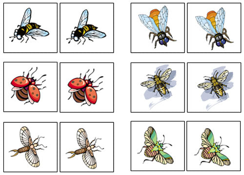 Insect Match-Up & Memory Game - Montessori Print Shop