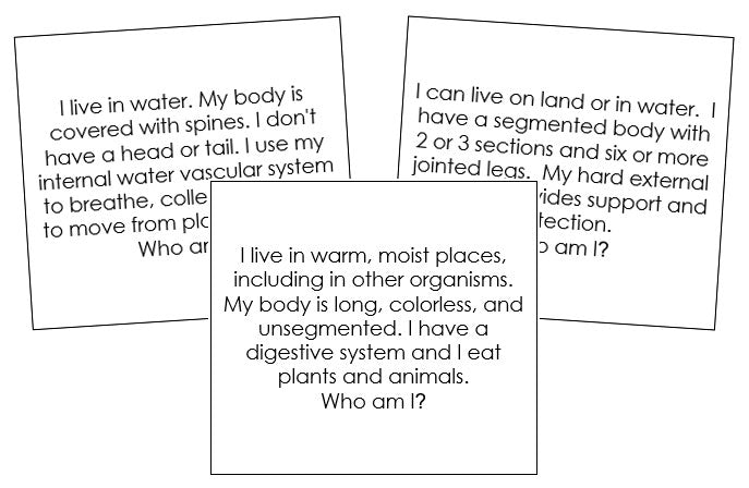 Invertebrates Quiz Cards - Montessori Print Shop Digital Download
