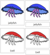 Jellyfish Nomenclature 3-Part Cards (red) - Montessori Print Shop