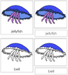 Jellyfish Nomenclature 3-Part Cards - Montessori Print Shop