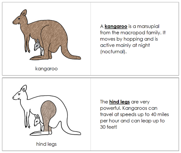 Kangaroo Nomenclature Book - Montessori Print Shop Digital Download
