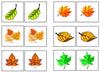 Leaf Match-Up & Memory Game - Montessori Print Shop