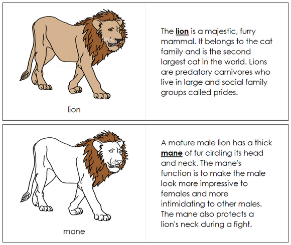 Parts of a Lion Nomenclature Book - Montessori Print Shop Digital Download