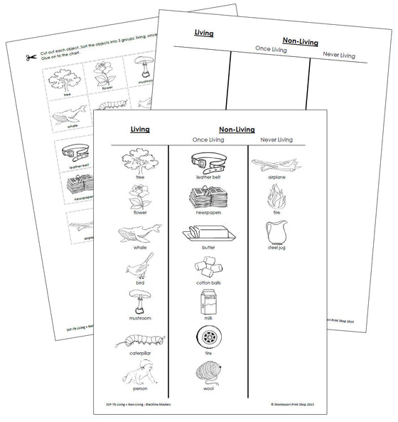 Living & Non-Living Blackline Masters - Montessori Print Shop