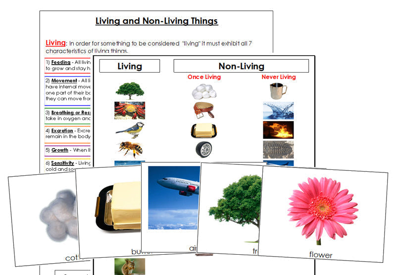 Living & Non-Living Cards and Chart - Montessori Print Shop Digital Download printable science materials