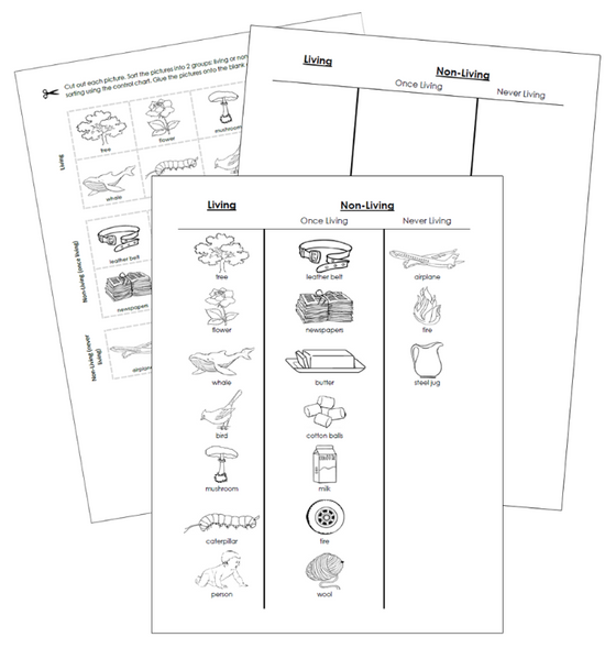 Living & Non-Living Sorting Cut & Paste (Blackline Masters) - Montessori Print Shop Digital Download