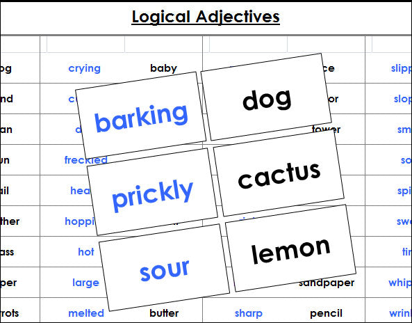 Montessori logical adjective game - Montessori Print Shop Digital Download grammar