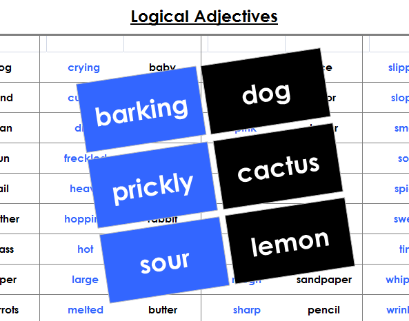 Logical Adjectives Matching Cards & Control Chart - Montessori Print Shop Digital Download Grammar Cards